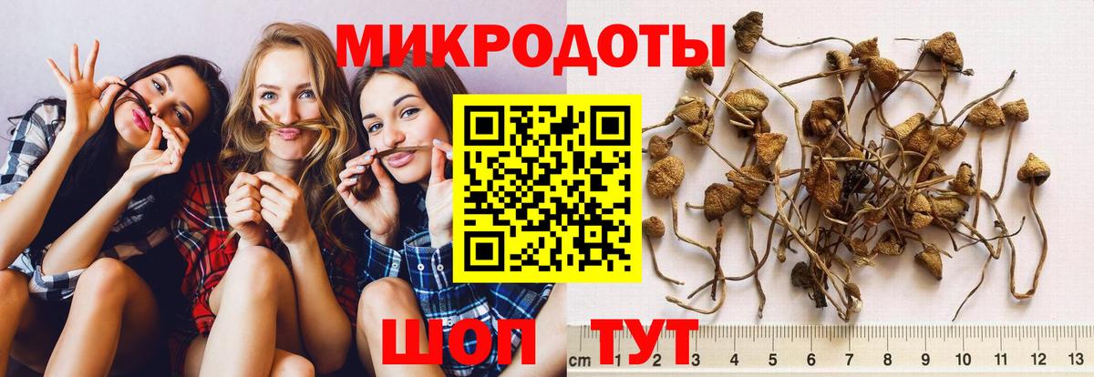 Мирный  Псилоцибиновые грибы Psilocybine cubensis  Вход с VPN 